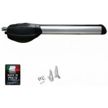 Motore Pistone Motoriduttore Per Cancello Battente 230v Con Finecorsa R20 300