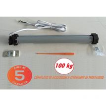 Motore tapparella 100 kg - 50 Nm Motori per tapparelle elettriche Avvolgibili