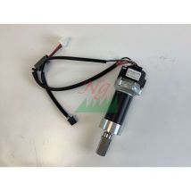 Motor reductor Ambrogio (sin escobillas - motorreductor): 042Z22400AR