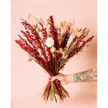 Moulin Rouge - Ramo de Flores Secas Decoración Pur Plant