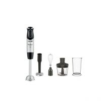 Mixeur DD65H810