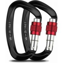 Mousquetons Escalade, 2pcs Mousqueton à Verrouillage Automatique Aluminium inox D-Anneau Mousqueton pour l'escalade et Le Rappel, Chiens de