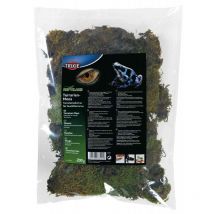 Mousse pour terrarium, 200 g, Substrat pour terrariums humides. Trixie