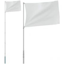 Vidaxl - Mât de drapeau télescopique Argenté 5,55 m Aluminium