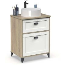 Ptarch - Mueble de baño con lavabo cerámico Toscana acabado color cambrian/blanco, 80cm(alto) 61cm(ancho) 47cm(largo)
