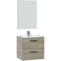 Mueble de baño suspendido Alan 2 cajones con espejo, sin lavabo, Color Alaska