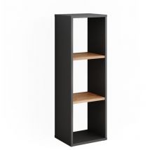 Mueble zapatero Orlando, Antracita/roble dorado, 30 x 90.5 cm Vicco