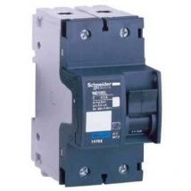 Schneider Electric - Disjoncteur modulaire Multi 9 - NG125L - 2 pôles - 25 a - courbe d - 18842