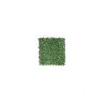 Mur Synthétique Vert Buxus 50x50cm