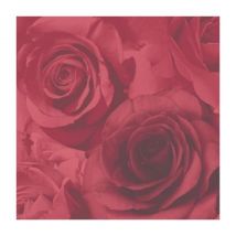 Muriva Ltd - discontinued - Muriva Madison Floral Rose Flower Red Large Rose Heavyweight Wallpaper
