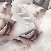 Rhoda Rose Floral Wallpaper Pink/Grey 203501 - Pink