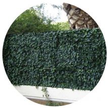 Jet7garden - Pared verde 12 hojas de follaje de hiedra artificial - 3m2 - Verde - Vert