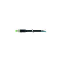 Murr Elektronik - 7000-08001-6300500 Connecteur Non Confectionné Pour Capteurs/actionneurs 5.00 M Nombre De Pôles: 3 1 Pc(s)