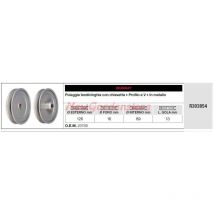 Rasenmähertraktor-Riemenspannrolle R303854 - Murray
