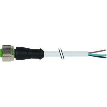 Murr Elektronik – Prise M12 femelle 0° – Câble PVC 5m – 4 x 0,34 mm² – Electricité et domotique
