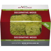 Muschio Lichene Verde 50 gr