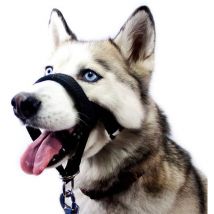 Mezheng - Muselières Souples Pour Chien - Muselières Réglables Pour Chiens De Taille Moyenne, Respirantes Et Buvables Pour Mordre, Aboiement, Mâcher,