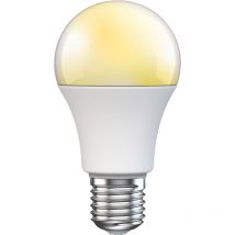 Muvit - Iluminación Smart Home led A60 Control a través de la app i