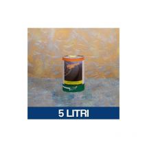 Naici - impermeabilizzante effetto lucido per pietra o rivestimento naistone lux 23363V 5 (36920)