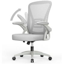 Naspaluro - Office Chair Ergonomic - Bigzzia Desk Chair with 90° Flip-up Armrest Lumbar Support - Executive Swivel Computer Chair - Gray