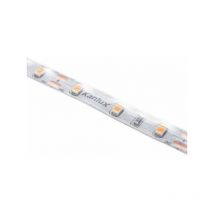 Striscia LED waterproof IP65 11W/m 60 LED/m lunghezza 5m - Bianco Caldo 3000K