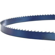 Nastro sega 1575x10x0.5mm 4 zpz holzstar