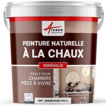 Arcane Industries - Natürliche Kalkfarbe für drinnen - mineralis - Wasabi-Altweiß - 30 m²-Kit, 2,5 kg - Wasabi-Altweiß