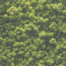 Natur Tapete Profhome 394051 heißgeprägte Vliestapete leicht strukturiert mit floralen Ornamenten matt grün moos-grün 5,33 m2