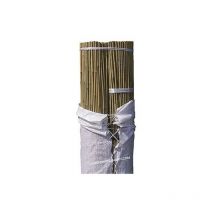 Suinga - 100 Stück Bambusstützen für Pflanzen 210 cm (16-18 mm) – Bambusstäbe, Stützen für Pflanzen, Gemüse, Tomaten, Bambusstäbe