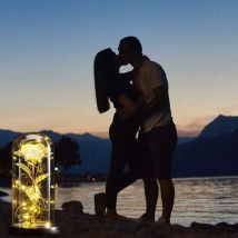 Naturelle Rose Eternelle sous Cloche, La Belle et La Bete avec des lumières led Fleurs éternelles Cadeau pour Femmes et Filles (Galaxy Rose/Feuilles