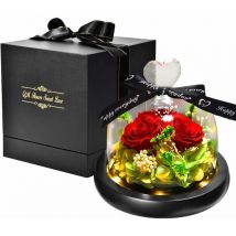 Kueatily - Naturelle Rose Eternelle Sous Cloche, La Belle et La Bete avec des lumières led Fleurs éternelles (Base Noire)-Fei Yu