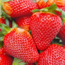 1000 Stück Natürliche Dandong Erdbeer Samen – Bio Obst Garten Samen