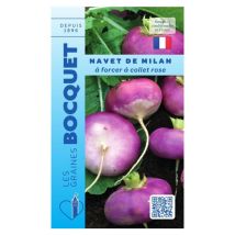 Navet de Milan à forcer collet rose - 6g