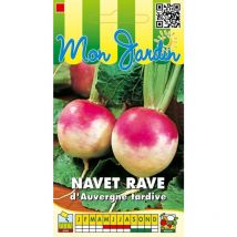Navet rave d'Auvergne tardive - 5g