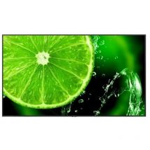 NEC Multi Sync E868 85.6Inch 3840 x 2160 Pixels 4K Ultra HD IPS Panel HDMI VGA U