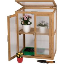Needs&wants - Mini Gewächshaus Treibhaus klein winterfest aus Holz für Balkon Garten Indoor, Frühbeet Hochbeet Pflanzschrank Anzuchthaus, 56x43x76