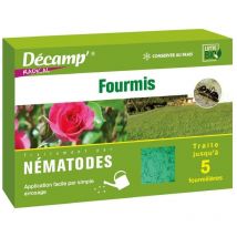 Nématodes pour lutter contre les fourmis 5M