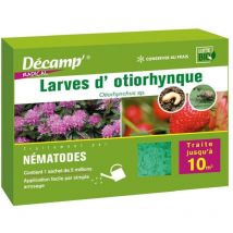 Décamp' - Nématodes spécifiques contre les otiorhynques 5 Millions