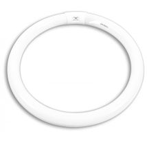 Neon Circolare Trifosforo 32W Luce Bianca 6500K Classe Energetica A – 11061504
