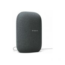 Nest Audio Google Assistent