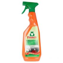 Nettoyeur de surface Kitchen Frosch LocalizationB07GB81L71 (750 ml) 750 ml
