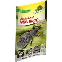 Bestell-Set Nützlinge Bodenschädlinge gegen Bodenschädlinge 1 St. Pflanzenschutzmittel - Neudorff