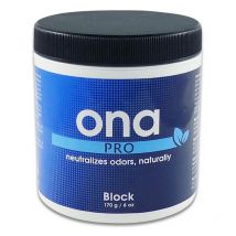 ONA - Destructeur d'odeur pro Block 170 g