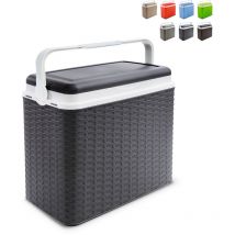 Nevera rigida 24 l ratan antracita