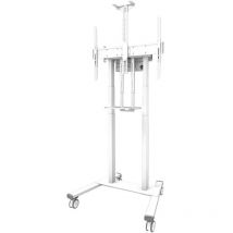 Newstar - 0 neomounts by motorised Mobile Floor Stand - vesa 100X100 up to 800X600 White (FL55-875WH1)