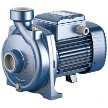 Pedrollo - Ngam 1b Einzelphase 0,55 Kw 0,75 Hp Pumpenkörper Gusseisen Wasserpumpen