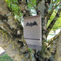 Nichoir Pour Chauve-souris Grande Taille En Bois Fsc - Bois