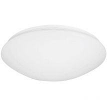 68036 Plafonnier Ampoule à économie d'énergie, led E27 15 w blanc - Niermann