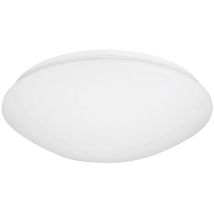 68036 Plafonnier Ampoule À Économie D'Énergie, Led E27 15 W Blanc - Niermann