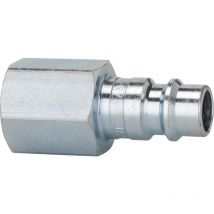 Stecknippel für Kupplung nw 7,2-7,8, Stahl, ig G1/8 riegler